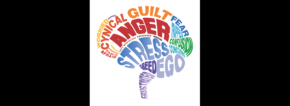 Human Universal Energy Classes Denver and Lakewood, CO